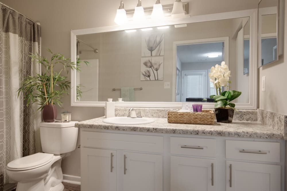 Plenty of counter space in an apartment bathroom at Renaissance at Galleria in Hoover, Alabama