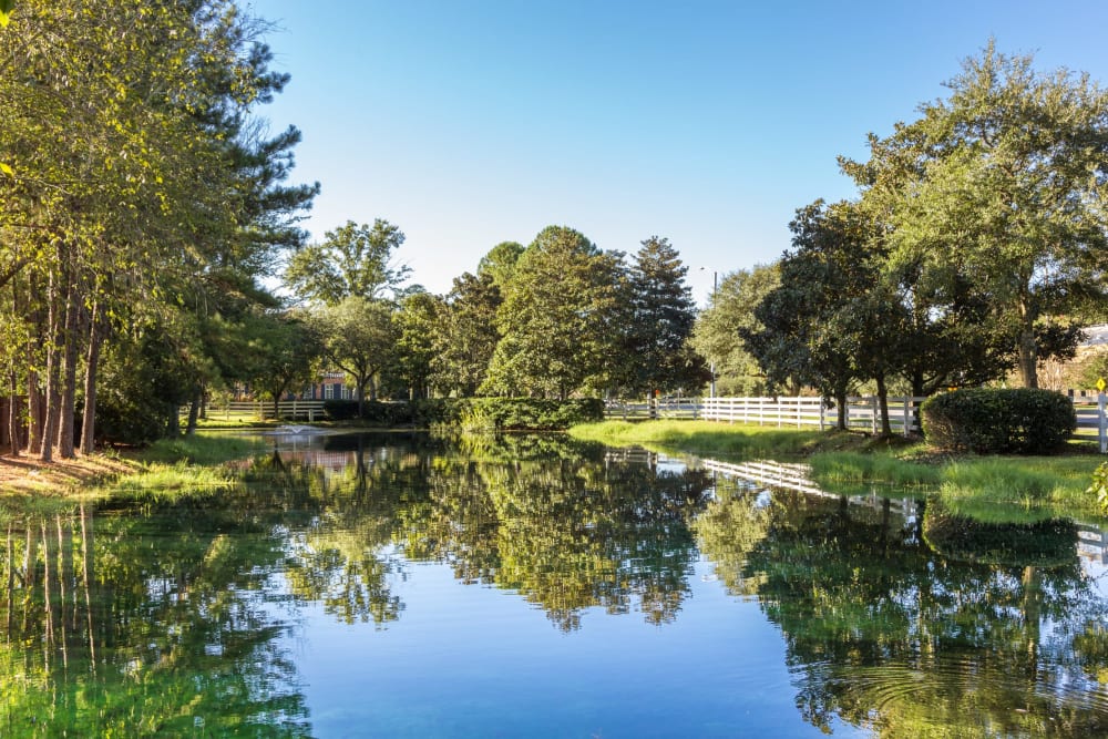 A pond surrounded by trees at Arbor Gates in Fairhope, Alabama