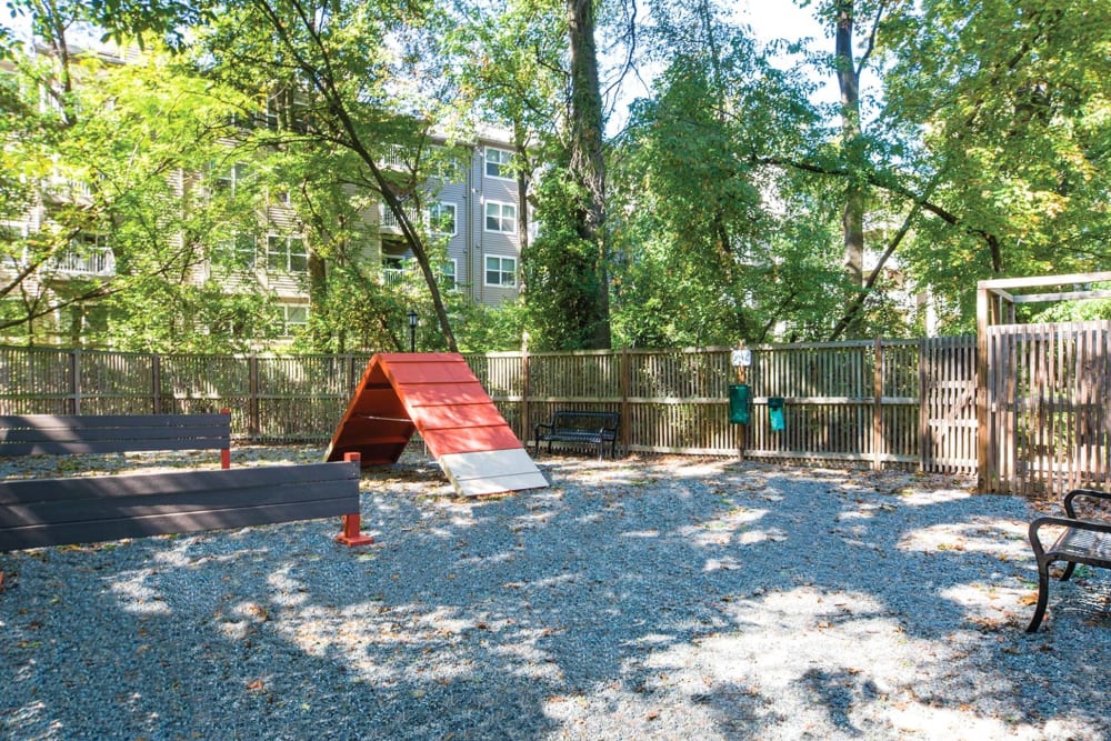 An onsite dog park and agility course at Hunt Club in Gaithersburg, Maryland