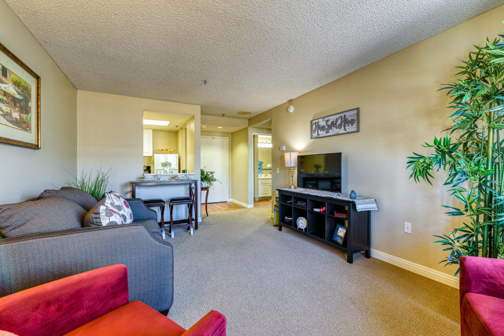 Resident living room with couch and large television at Pacifica Senior Living Menifee in Sun City, California
