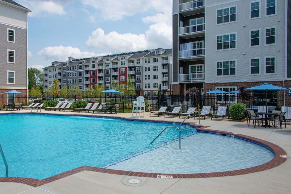Swimming pool with sunlounger at The Elms at Century in Germantown, Maryland