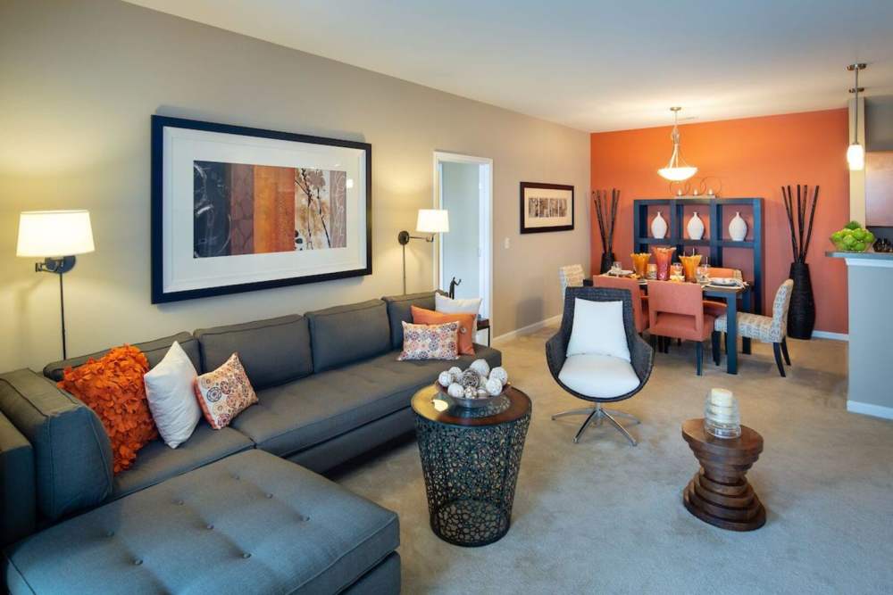 Living room with couch at The Elms at Clarksburg Village in Clarksburg, Maryland