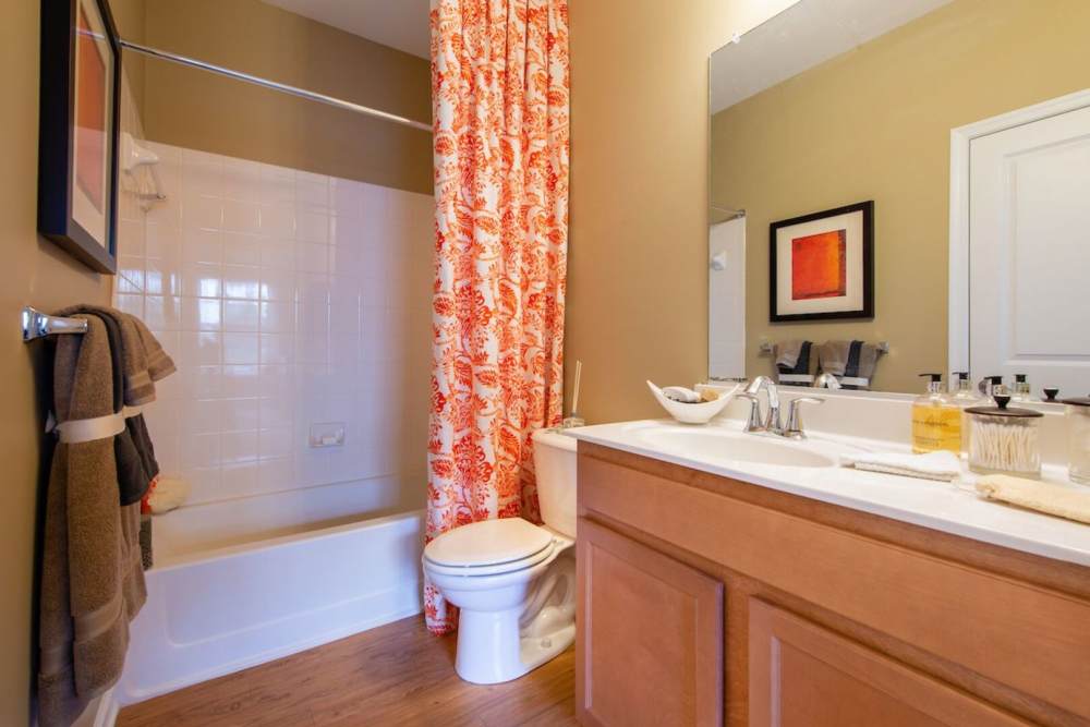 Bathroom at The Elms at Clarksburg Village in Clarksburg, Maryland