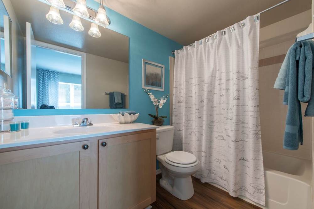 Bright bathroom with shower and tub at The Elms at Falls Run in Ellicott City, Maryland