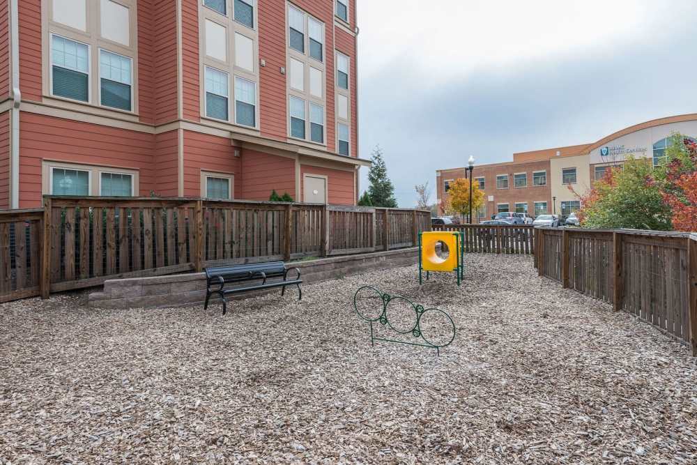 Pet park with playing equipment at The Elms at Odenton in Odenton, Maryland