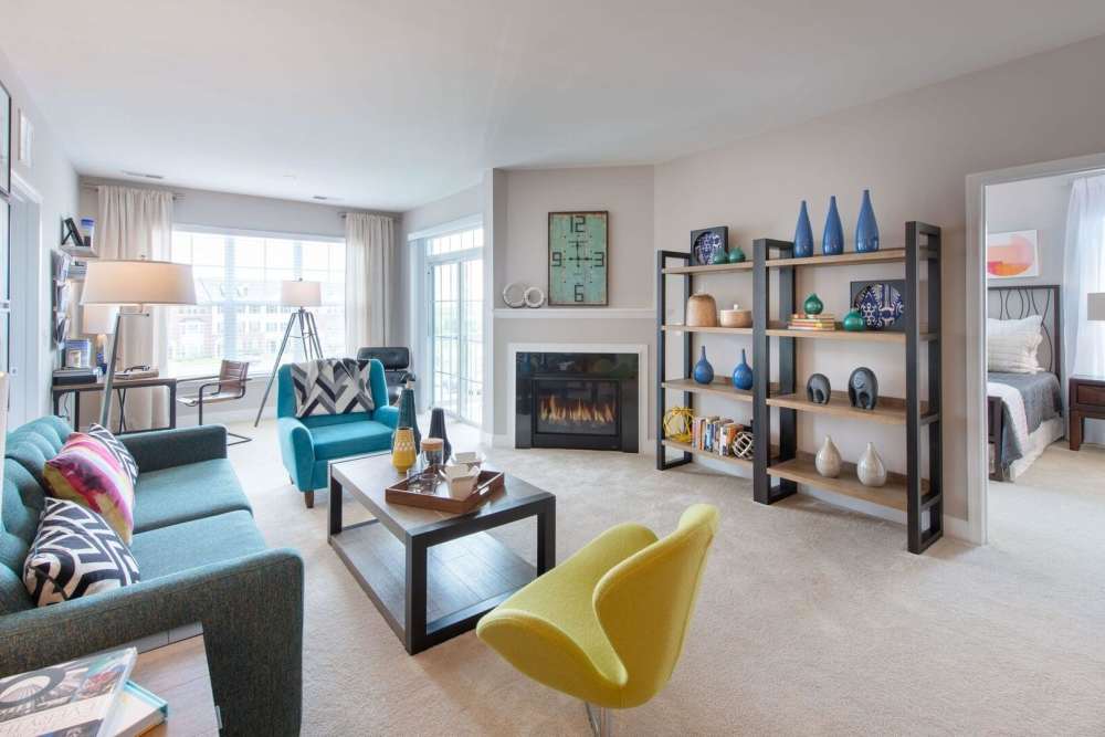 Living space with plush carpeting at The Elms at Arcola in Dulles, Virginia