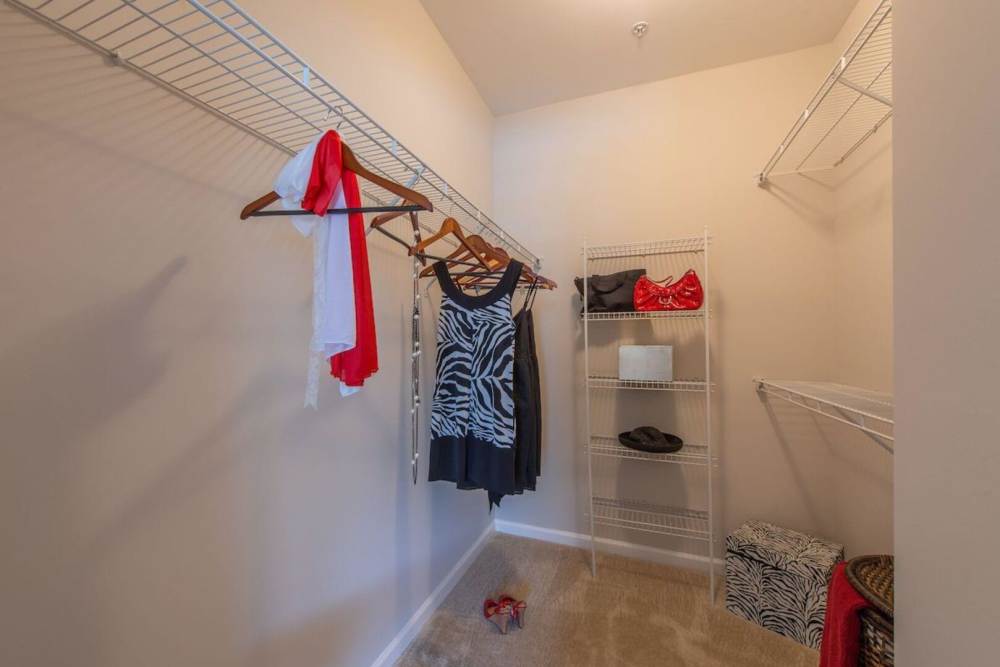 Walk-in closet at The Elms at Stoney Run Village in Hanover, Maryland