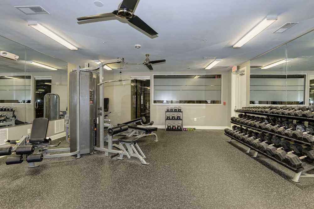 Fitness center with strength training equipment at The Elms at Odenton in Odenton, Maryland