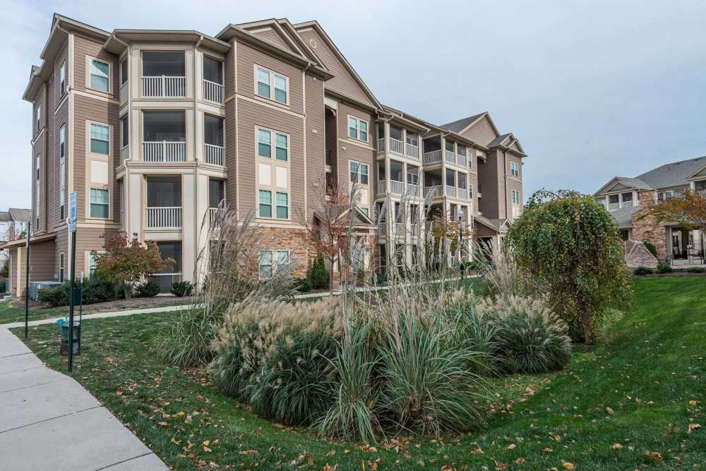 Community building back view from landscape at The Elms at Odenton in Odenton, Maryland