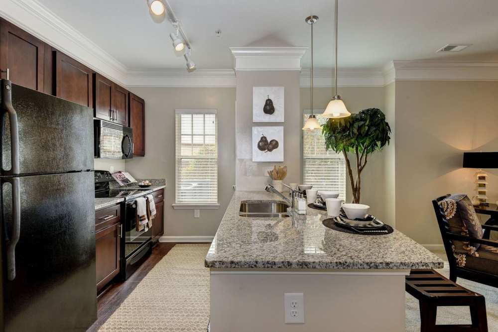 Granite countertop kitchen with stainless steel kitchen at The Elms at Odenton in Odenton, Maryland