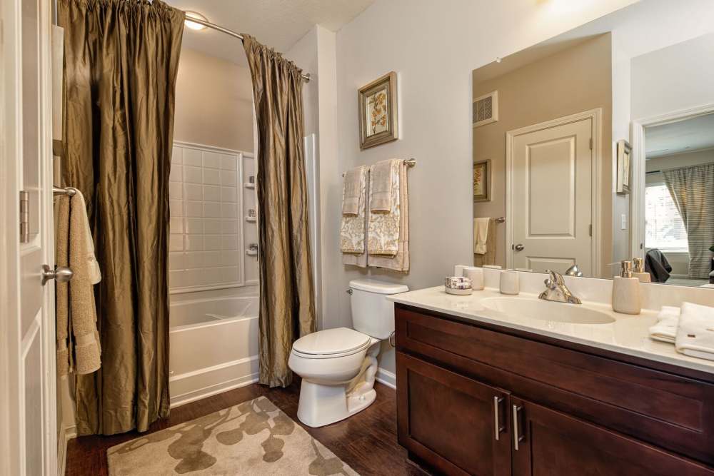 Garden style bath tub with commode and vanity at The Elms at Odenton in Odenton, Maryland