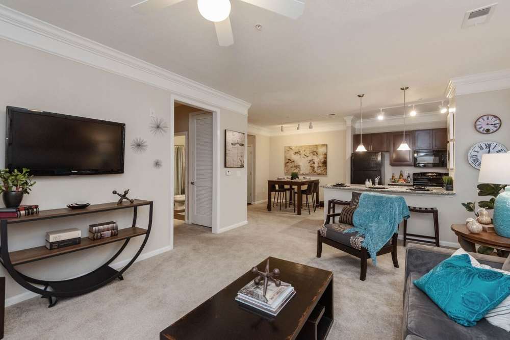 Spacious living with television unit at The Elms at Odenton in Odenton, Maryland