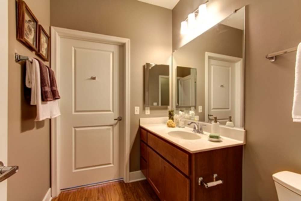 Apartment bathroom at The Elms at Shannon's Glen in Jessup, Maryland