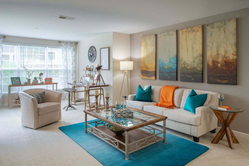 Well lit and open living room with plush carpeting and large windows at The Elms at Centreville in Centreville, Virginia, 
