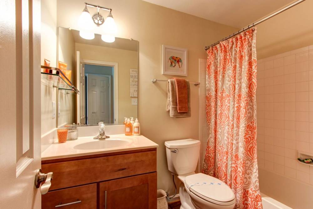 Bright bathroom with shower and tub at The Elms at Centreville in Centreville, Virginia, 