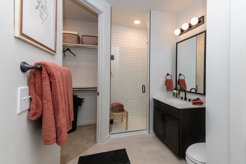 Bathroom with Vanity mirror installed at Auro Crossing in Austin, Texas