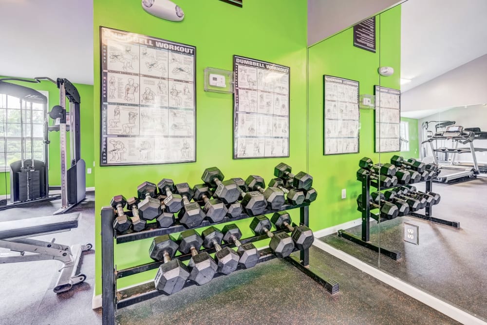 Free weights at Chason Ridge Apartment Homes in Fayetteville, North Carolina