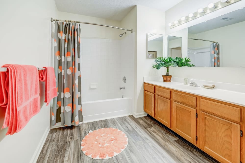 Large bathroom with bathtub at Chason Ridge Apartment Homes in Fayetteville, North Carolina