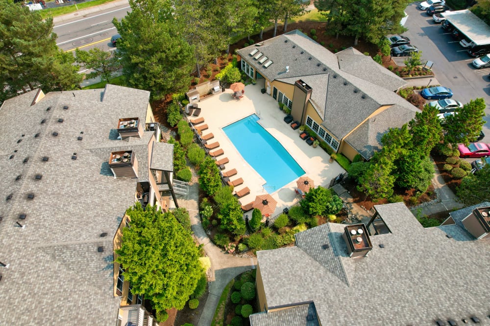 Aerial view of the pool at Newport Crossing Apartments in Newcastle, Washington