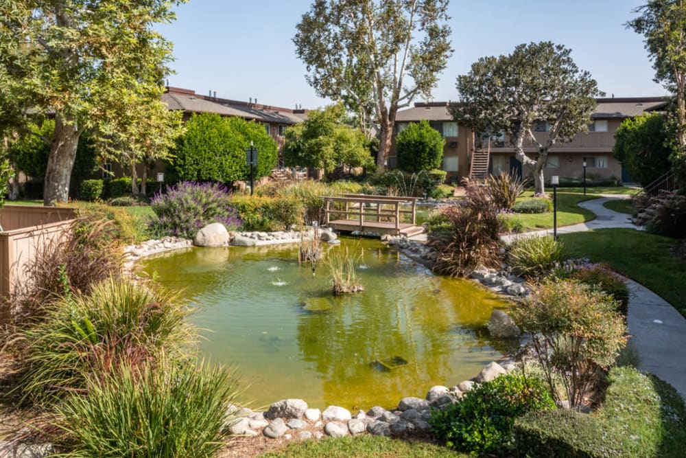 Pond at Casa Sierra in Riverside, California