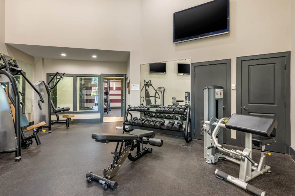 Exercise room with everything you need at Regatta at Universal Apartments in Orlando, Florida