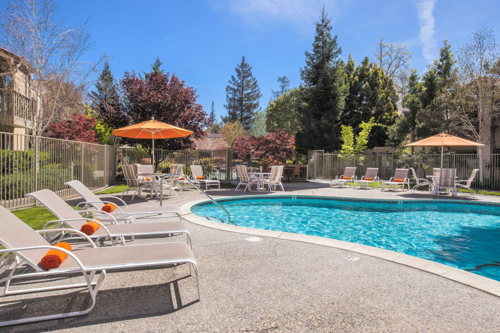 Relaxing amenities at Spring Creek Apartments in Santa Clara, California