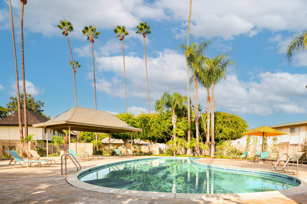 Pool at Mango Tree in Santa Ana, California