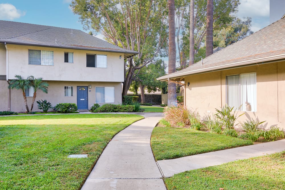 Paved walking paths outside of Mango Tree in Santa Ana, California