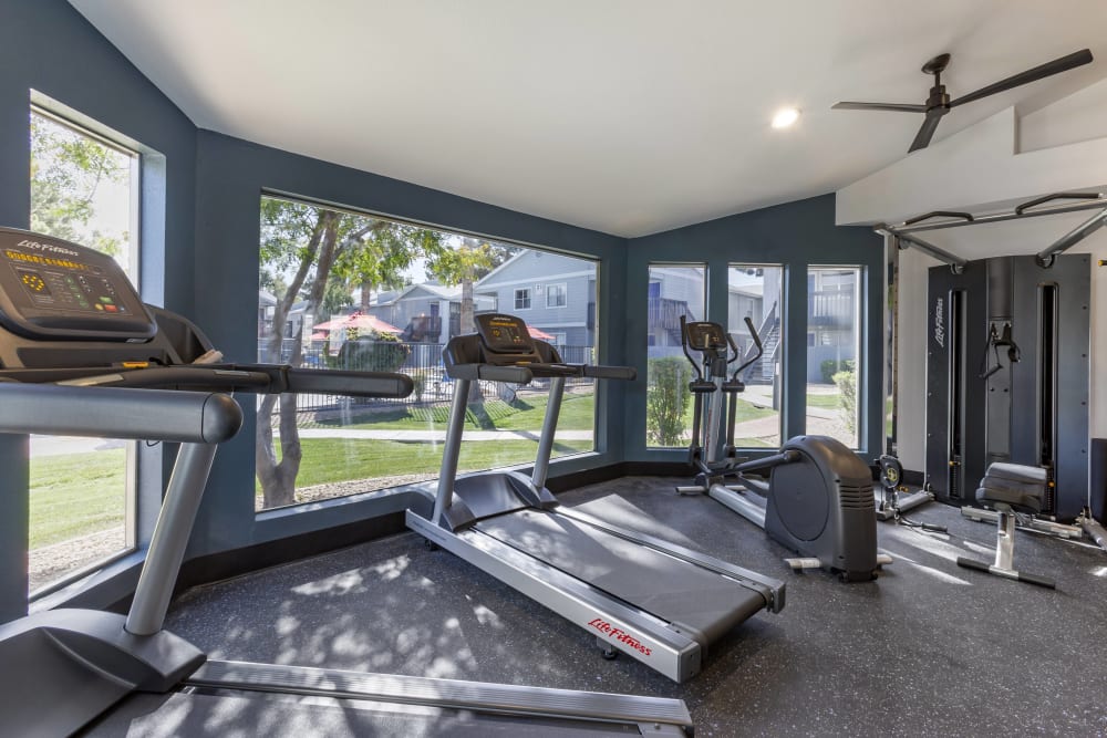 Modern gym fitness room with large windows and treadmills at Presidio North in Phoenix, Arizona
