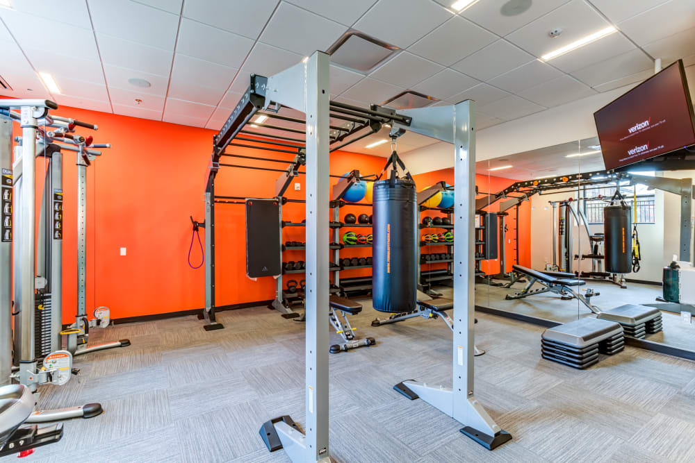 Weights area at Main Street Apartments in Rockville, Maryland