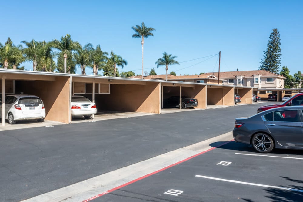 Parking lot at Olive Tree in Costa Mesa, California