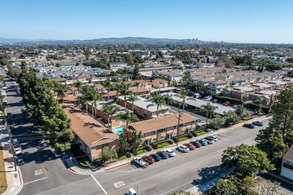 Aerial view of Olive Tree in Costa Mesa, California