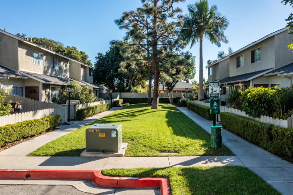 Lush courtyard at Greystone in Costa Mesa, California