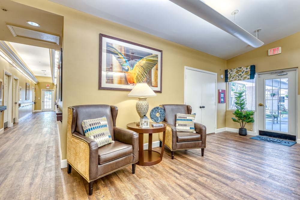 Enjoy a Lounge at Pacifica Senior Living Palm Beach Senior Living Community