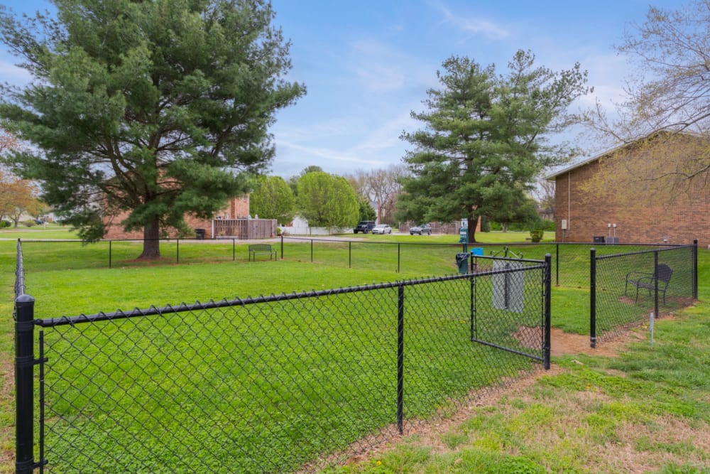 Huge dog park at Magnolia Place Apartments in Franklin, Tennessee