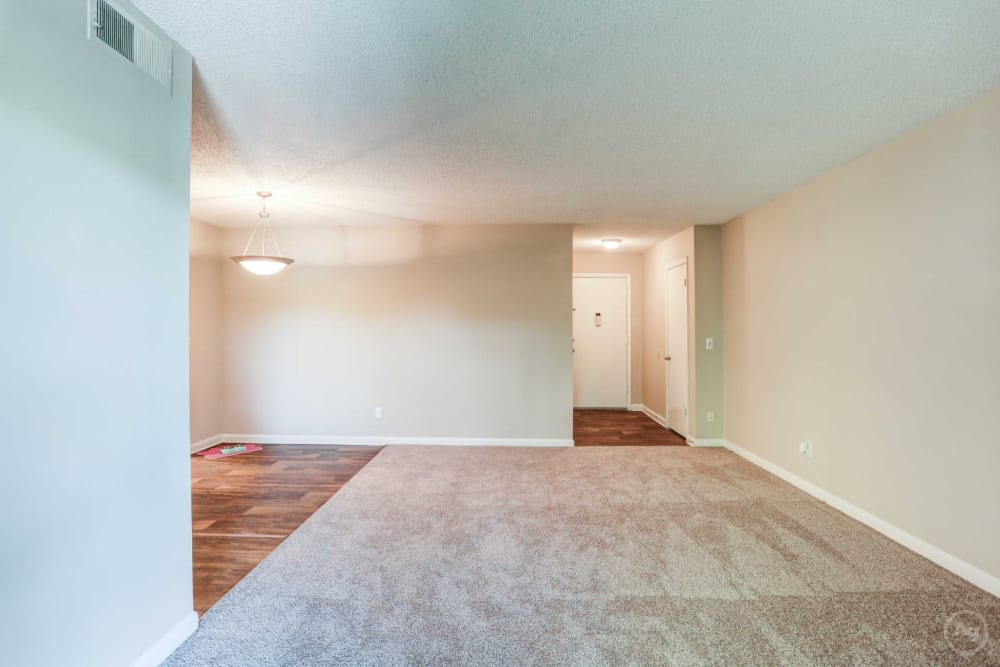 Carpeted living area at Candlewood Apartment Homes in Nashville, Tennessee
