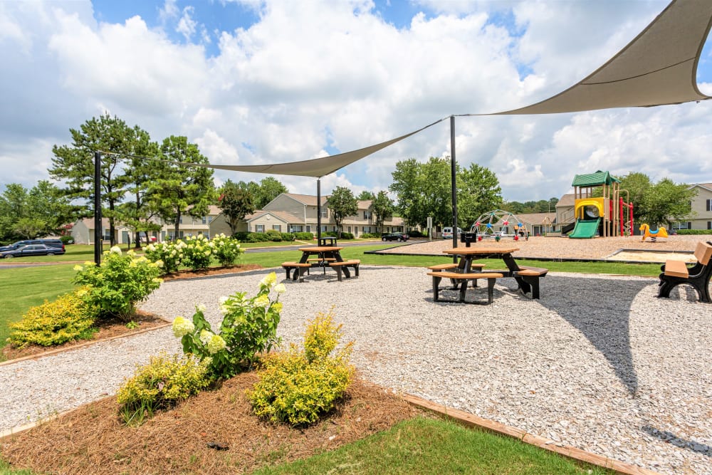 Large picnic area at Madison Pines Apartment Homes in Madison, Alabama