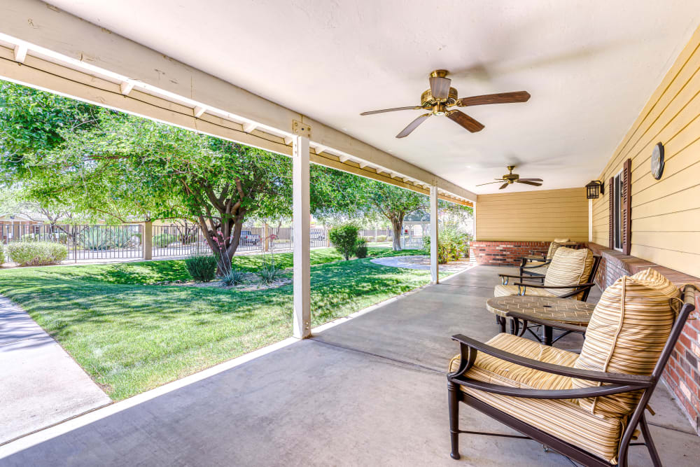 Sitting area near garden  in Tucson, Arizona
