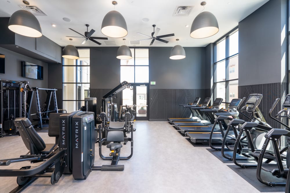 Exercise equipment at Anson in Burlingame, California