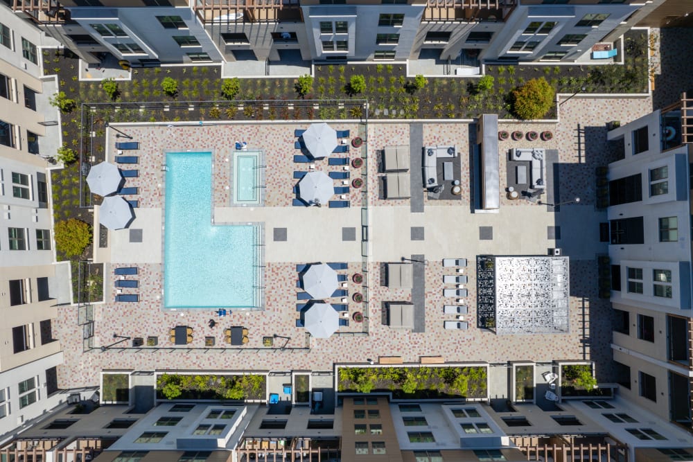 Sunny pool day at Anson in Burlingame, California