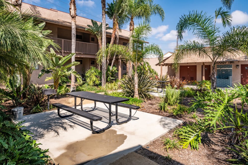Lush courtyard at Bay Breeze in Costa Mesa, California