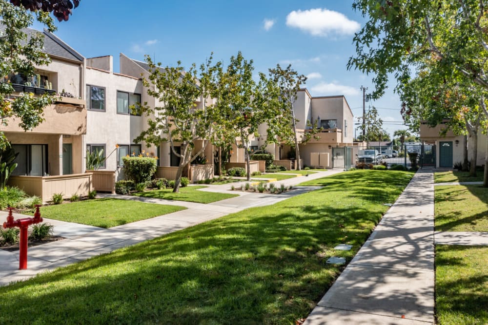 paved walkways outside at Wallace Court Apartments in Costa Mesa, California