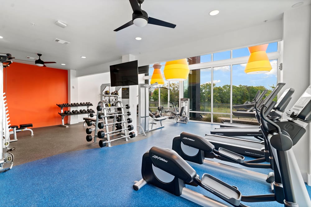 Well equipped and bright fitness Center at The View on the Square in San Marcos, Texas