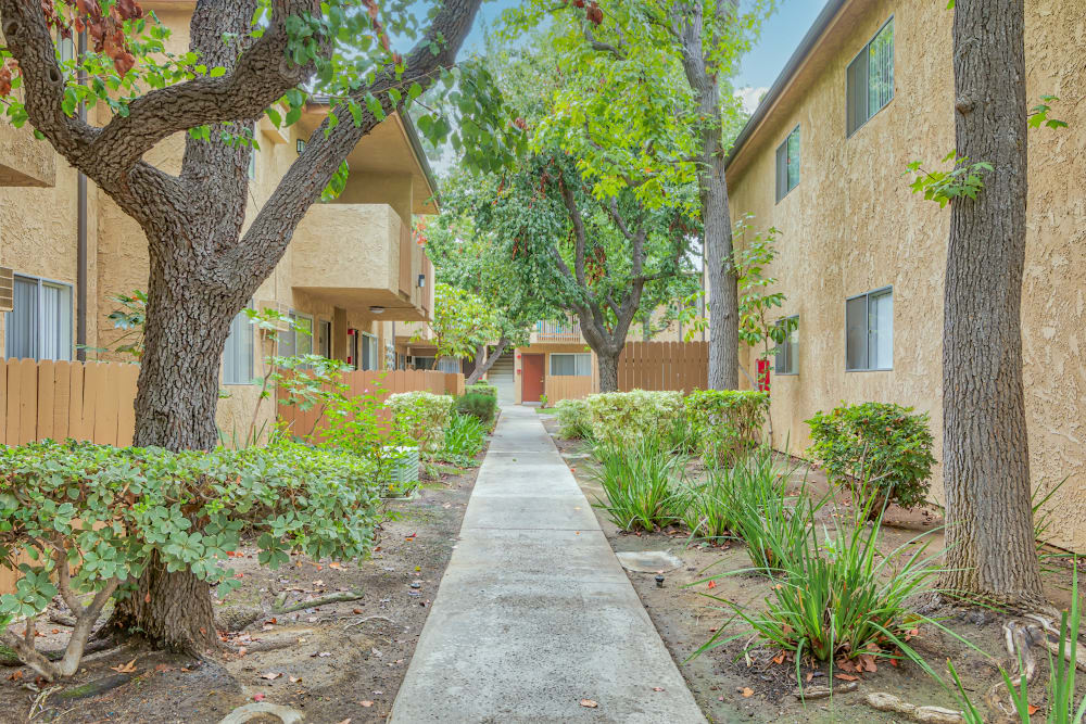 Paved walkway outside at The Palms Apartments in Rowland Heights, California