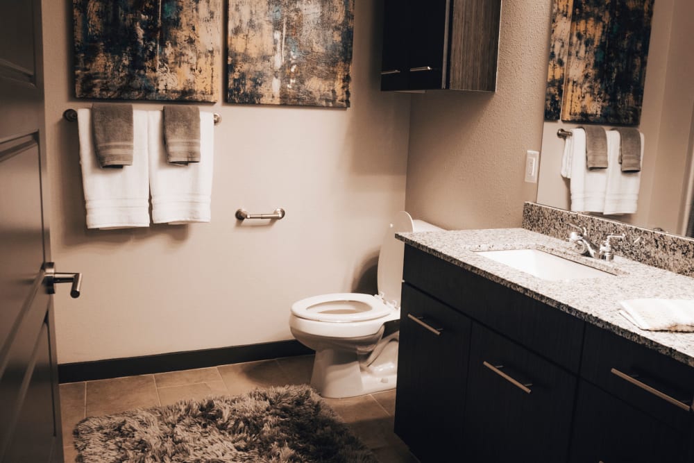 Bathroom with modern appliances at Terra at University North Park in Norman, Oklahoma