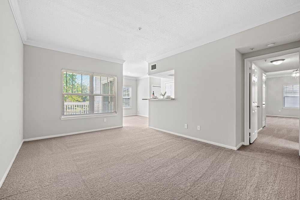 Carpeted living space at Marquis at Silverton in Cary, North Carolina