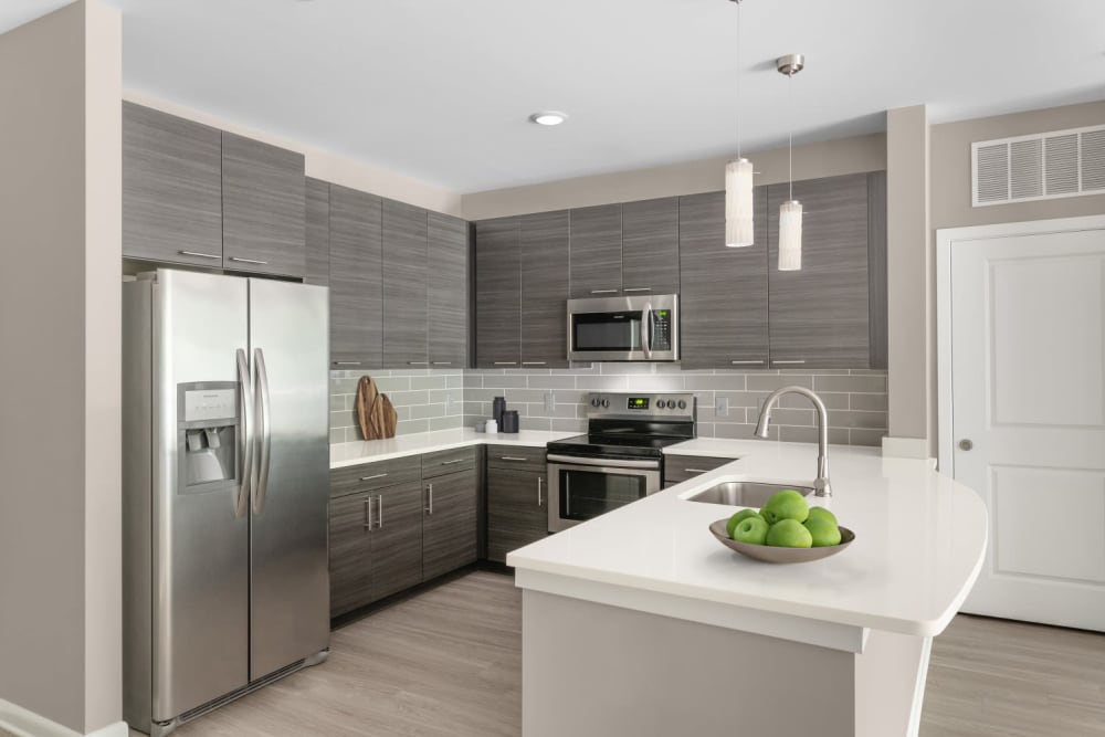 View of the kitchen from living room at The Palmer in Charlotte, North Carolina