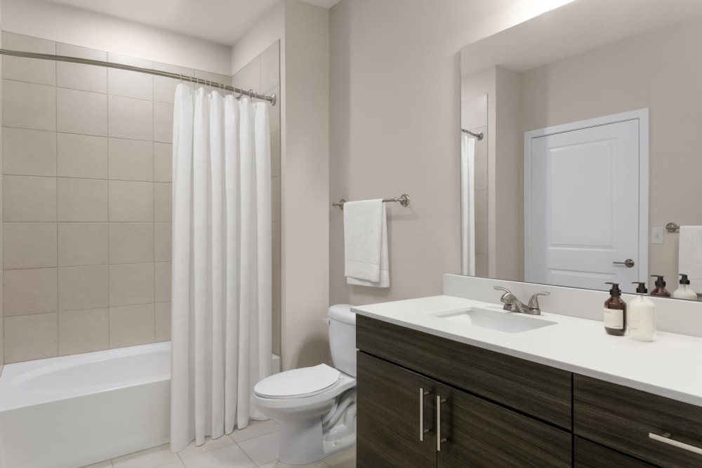 Luxurious bathroom in a model home at The Palmer in Charlotte, North Carolina