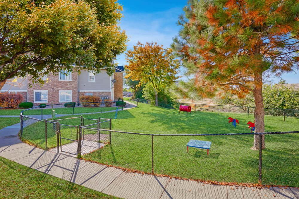 Have fun with your furry friend in the dog park at Westridge Apartments in Aurora, Colorado