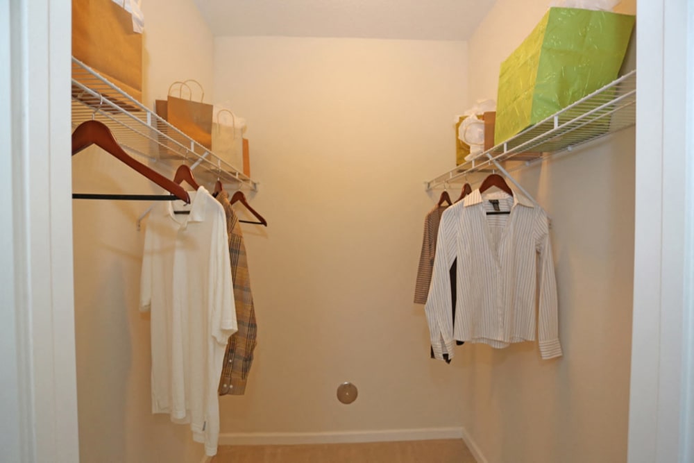 Walk-in closet at The Columns at Cypress Point in Wesley Chapel, Florida